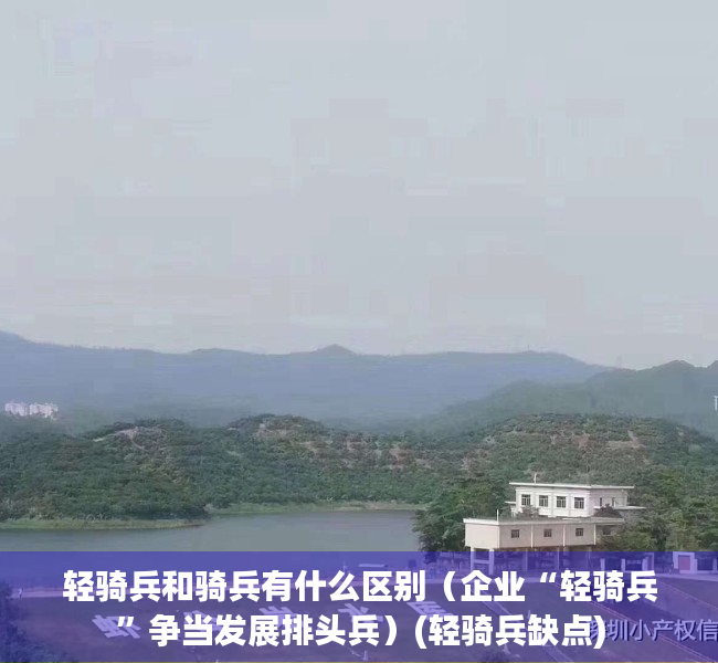 轻骑兵和骑兵有什么区别（企业“轻骑兵”争当发展排头兵）(轻骑兵缺点)