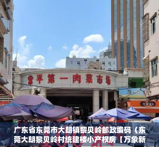 广东省东莞市大朗镇黎贝岭邮政编码（东莞大朗黎贝岭村统建楼小产权房【万象新盘】新盘出售松湖万象汇附近在售统建楼小产权房出售可分期）