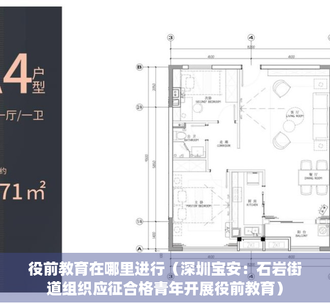 役前教育在哪里进行（深圳宝安：石岩街道组织应征合格青年开展役前教育）