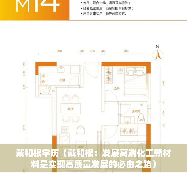 戴和根学历（戴和根：发展高端化工新材料是实现高质量发展的必由之路）