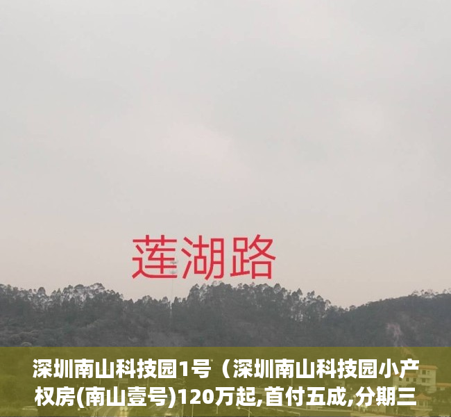 深圳南山科技园1号（深圳南山科技园小产权房(南山壹号)120万起,首付五成,分期三到五年）