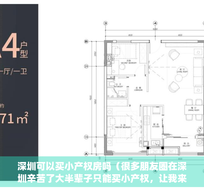 深圳可以买小产权房吗（很多朋友圈在深圳辛苦了大半辈子只能买小产权，让我来看看究竟看看值不值）