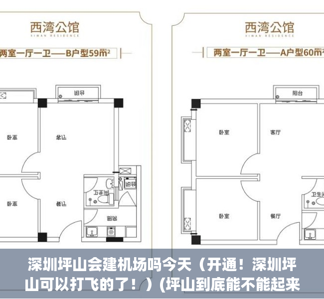 深圳坪山会建机场吗今天（开通！深圳坪山可以打飞的了！）(坪山到底能不能起来)