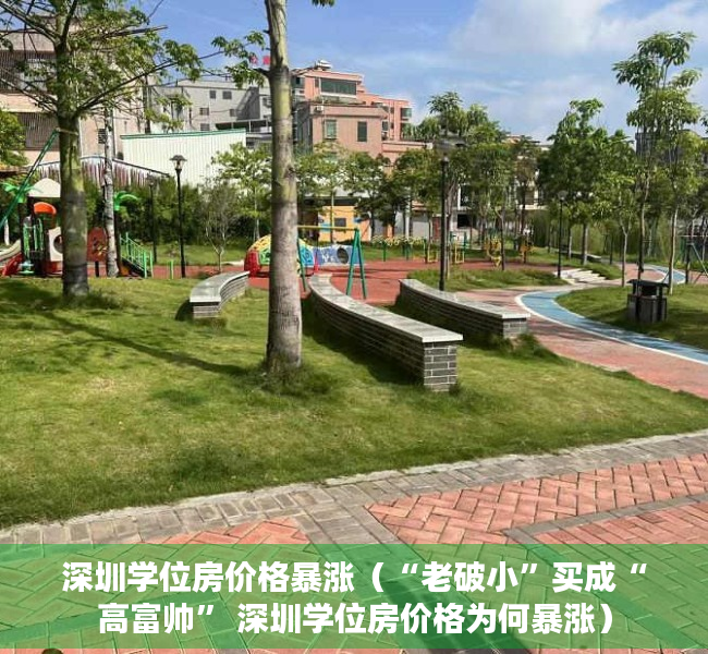 深圳学位房价格暴涨（“老破小”买成“高富帅” 深圳学位房价格为何暴涨）