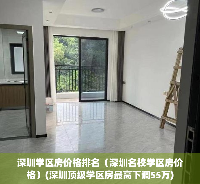 深圳学区房价格排名（深圳名校学区房价格）(深圳顶级学区房最高下调55万)