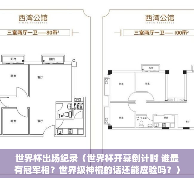 世界杯出场纪录（世界杯开幕倒计时 谁最有冠军相？世界级神棍的话还能应验吗？）