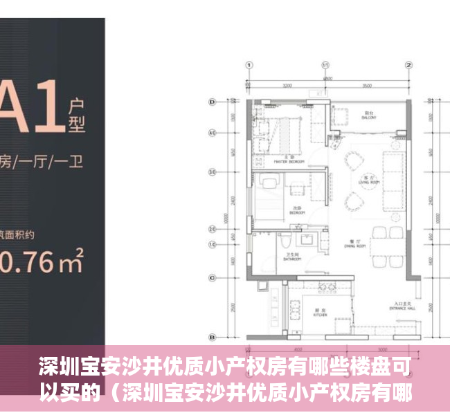 深圳宝安沙井优质小产权房有哪些楼盘可以买的（深圳宝安沙井优质小产权房有哪些楼盘）