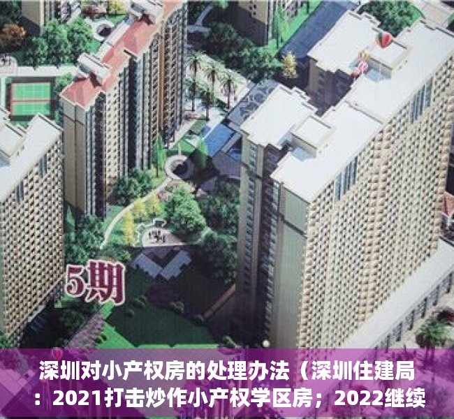 深圳对小产权房的处理办法（深圳住建局：2021打击炒作小产权学区房；2022继续整治市场秩序，二手房参考价将发布）