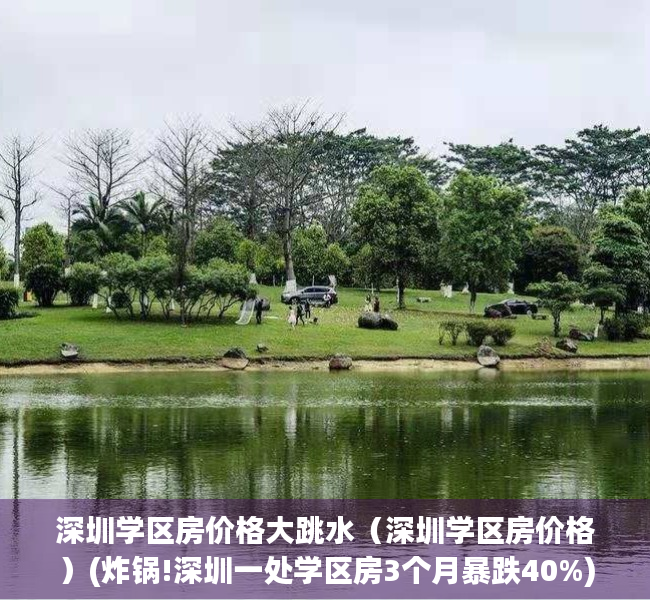 深圳学区房价格大跳水（深圳学区房价格）(炸锅!深圳一处学区房3个月暴跌40%)