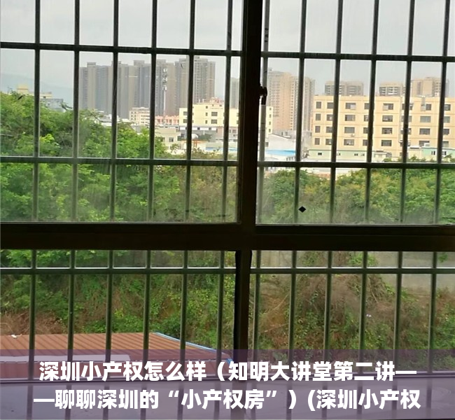 深圳小产权怎么样（知明大讲堂第二讲——聊聊深圳的“小产权房”）(深圳小产权可靠吗)