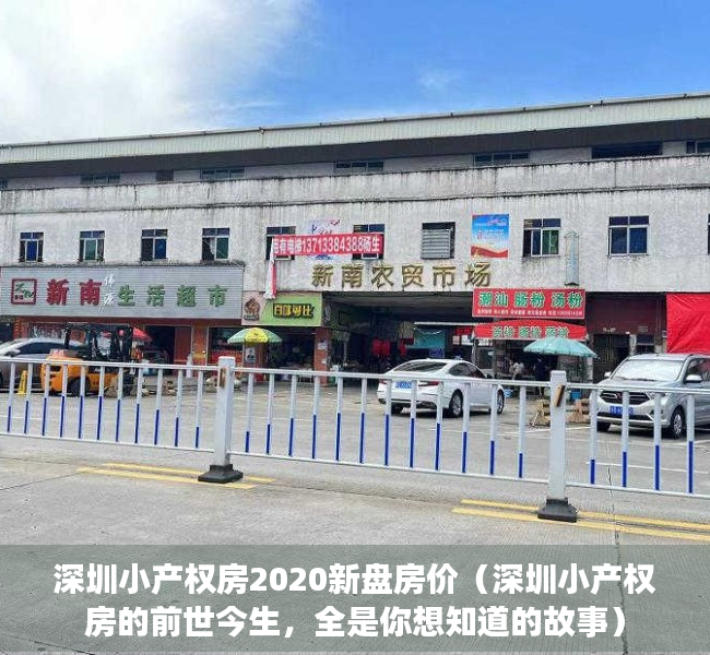 深圳小产权房2020新盘房价（深圳小产权房的前世今生，全是你想知道的故事）