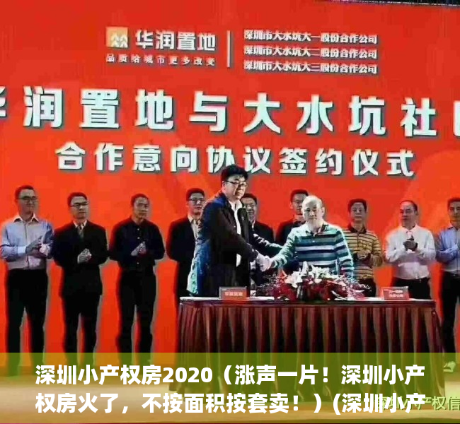 深圳小产权房2020（涨声一片！深圳小产权房火了，不按面积按套卖！）(深圳小产权房2020年出售信息)