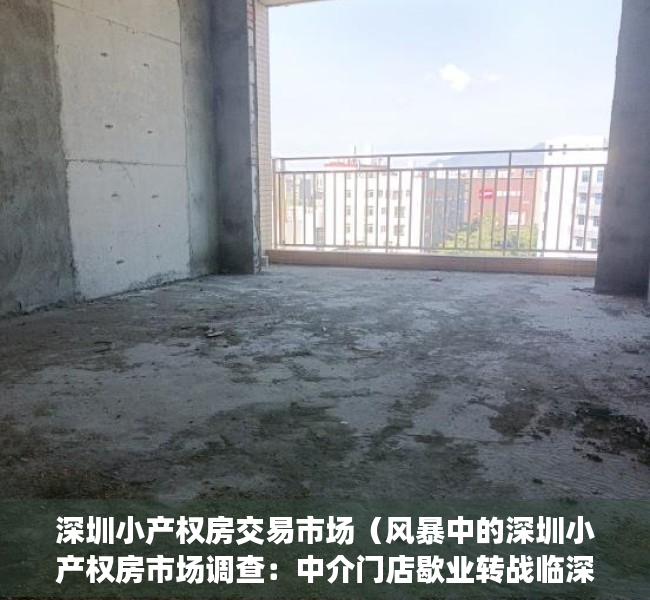 深圳小产权房交易市场（风暴中的深圳小产权房市场调查：中介门店歇业转战临深片区）