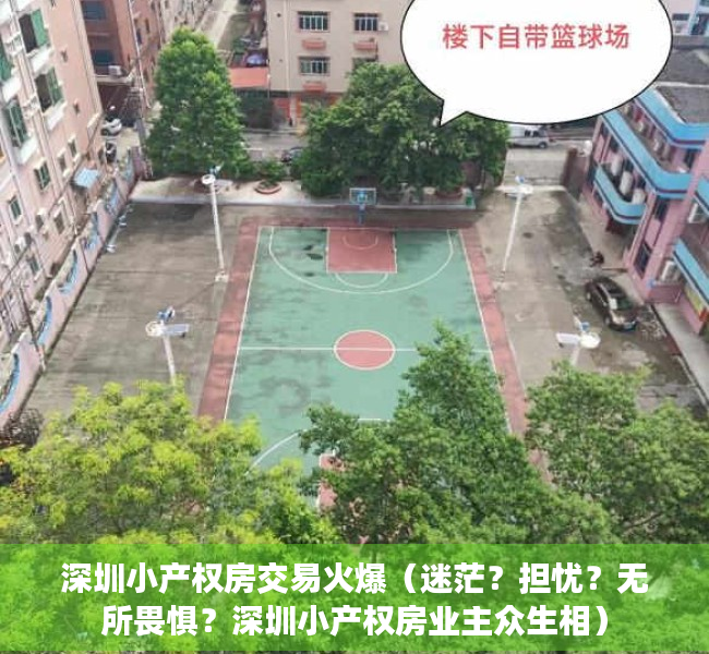 深圳小产权房交易火爆（迷茫？担忧？无所畏惧？深圳小产权房业主众生相）