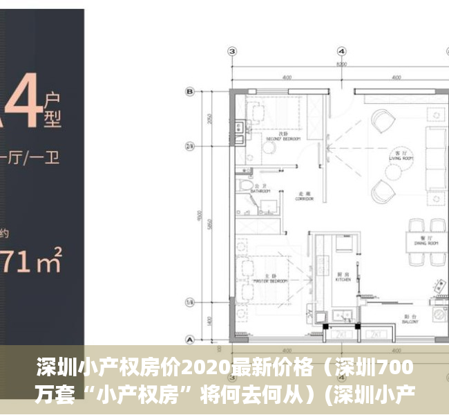 深圳小产权房价2020最新价格（深圳700万套“小产权房”将何去何从）(深圳小产权房价格2021)