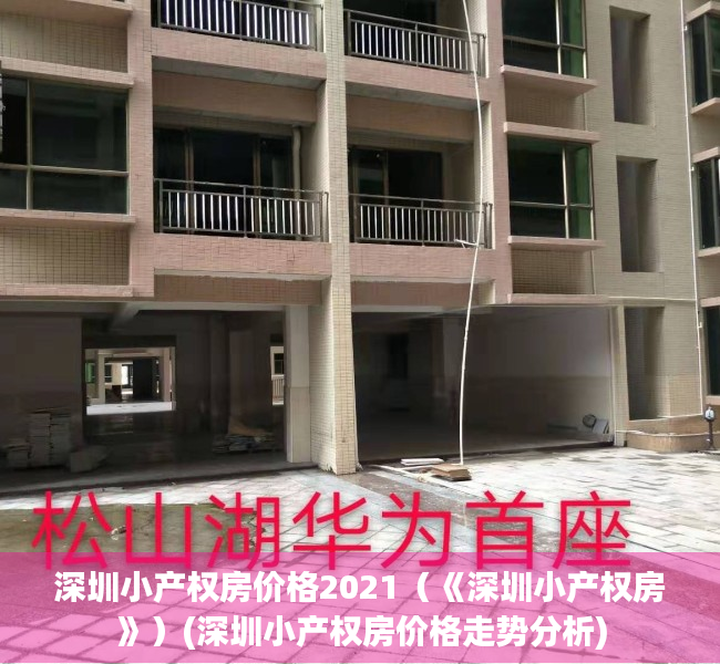 深圳小产权房价格2021（《深圳小产权房》）(深圳小产权房价格走势分析)