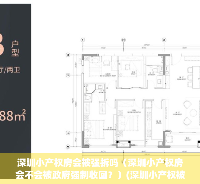 深圳小产权房会被强拆吗（深圳小产权房会不会被政府强制收回？）(深圳小产权被点名)