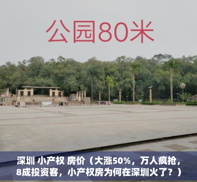 深圳 小产权 房价（大涨50%，万人疯抢，8成投资客，小产权房为何在深圳火了？）