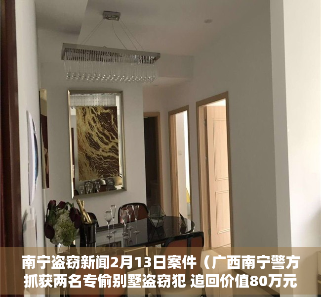 南宁盗窃新闻2月13日案件（广西南宁警方抓获两名专偷别墅盗窃犯 追回价值80万元名画、名酒）