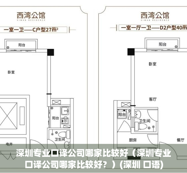 深圳专业口译公司哪家比较好（深圳专业口译公司哪家比较好？）(深圳 口语)