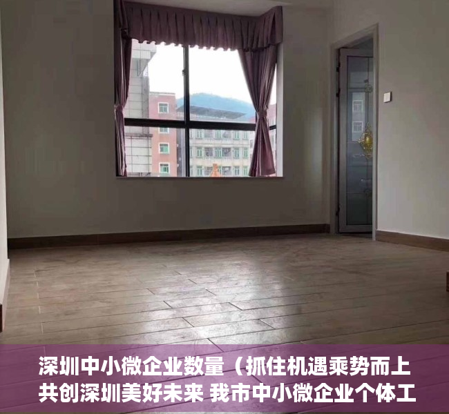 深圳中小微企业数量（抓住机遇乘势而上 共创深圳美好未来 我市中小微企业个体工商户及行业协会座谈会让深圳企业家们倍感振奋充满信心）