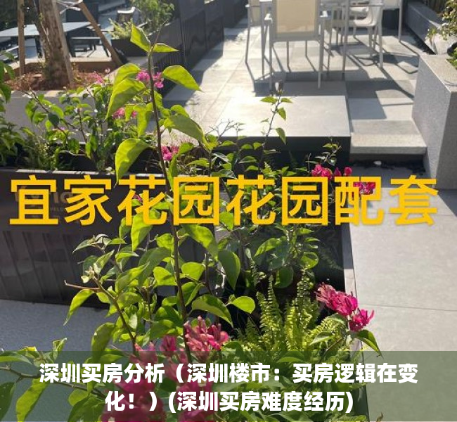 深圳买房分析（深圳楼市：买房逻辑在变化！）(深圳买房难度经历)