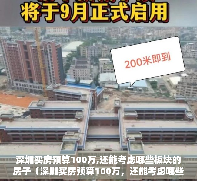 深圳买房预算100万,还能考虑哪些板块的房子（深圳买房预算100万，还能考虑哪些板块？）