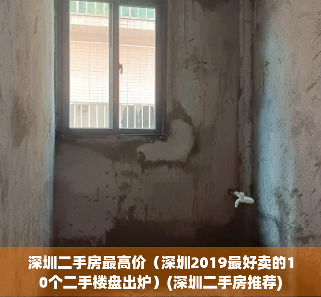 深圳二手房最高价（深圳2019最好卖的10个二手楼盘出炉）(深圳二手房推荐)