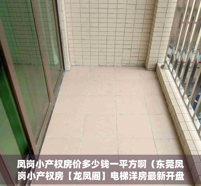 凤岗小产权房价多少钱一平方啊（东莞凤岗小产权房【龙凤阁】电梯洋房最新开盘 沃尔玛1公里）