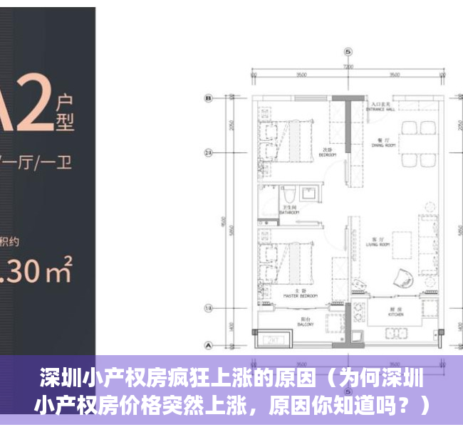 深圳小产权房疯狂上涨的原因（为何深圳小产权房价格突然上涨，原因你知道吗？）