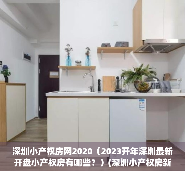 深圳小产权房网2020（2023开年深圳最新开盘小产权房有哪些？）(深圳小产权房新楼盘)