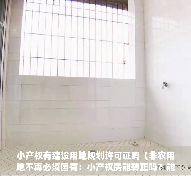 小产权有建设用地规划许可证吗（非农用地不再必须国有：小产权房能转正吗？能下乡买宅基地吗？）