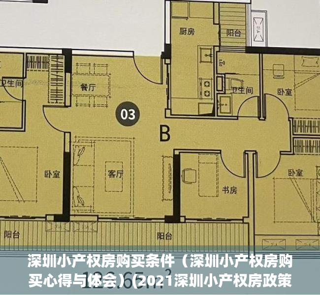 深圳小产权房购买条件（深圳小产权房购买心得与体会）(2021深圳小产权房政策)