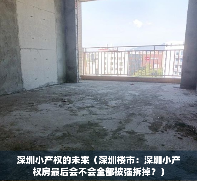 深圳小产权的未来（深圳楼市：深圳小产权房最后会不会全部被强拆掉？）