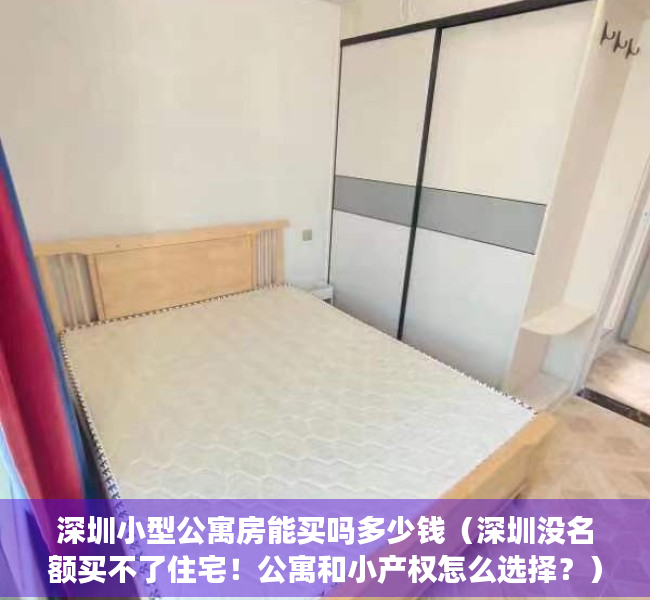 深圳小型公寓房能买吗多少钱（深圳没名额买不了住宅！公寓和小产权怎么选择？）