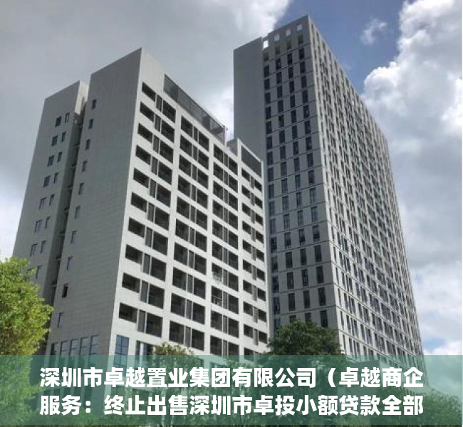 深圳市卓越置业集团有限公司（卓越商企服务：终止出售深圳市卓投小额贷款全部股权）