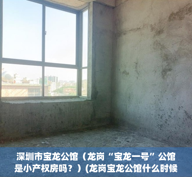 深圳市宝龙公馆（龙岗“宝龙一号”公馆是小产权房吗？）(龙岗宝龙公馆什么时候交房)