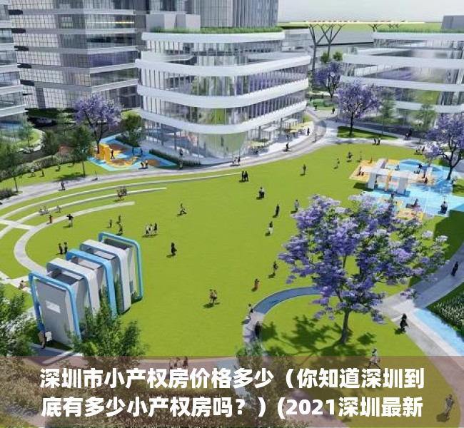 深圳市小产权房价格多少（你知道深圳到底有多少小产权房吗？）(2021深圳最新小产权房)