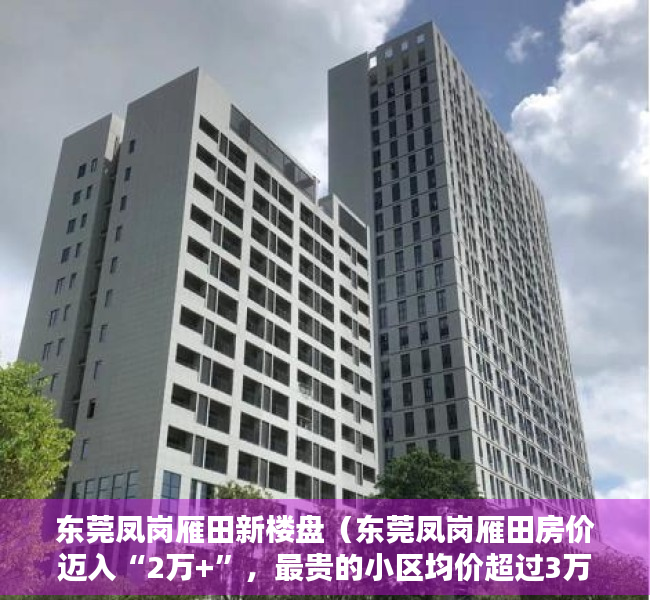 东莞凤岗雁田新楼盘（东莞凤岗雁田房价迈入“2万+”，最贵的小区均价超过3万平）