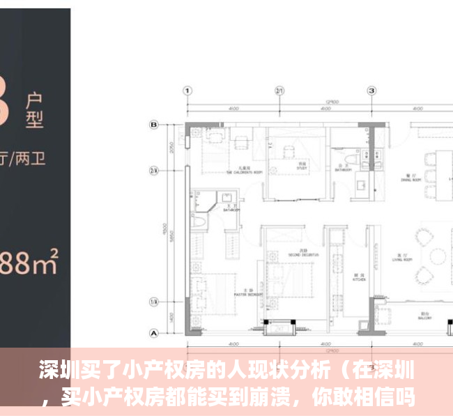 深圳买了小产权房的人现状分析（在深圳，买小产权房都能买到崩溃，你敢相信吗？）