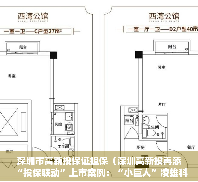 深圳市高新投保证担保（深圳高新投再添“投保联动”上市案例：“小巨人”凌雄科技今日登陆港交所主板）