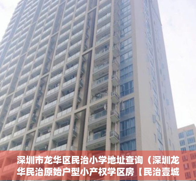 深圳市龙华区民治小学地址查询（深圳龙华民治原始户型小产权学区房【民治壹城府】大型停车场，深圳东莞最便宜性价比最高的小产权房村委统建楼集资房一手房楼盘可以买卖）