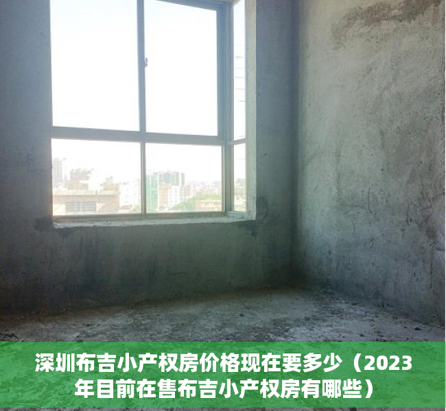 深圳布吉小产权房价格现在要多少（2023年目前在售布吉小产权房有哪些）