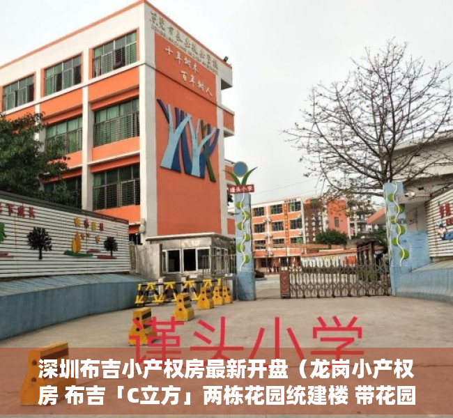 深圳布吉小产权房最新开盘（龙岗小产权房 布吉「C立方」两栋花园统建楼 带花园地下车库）