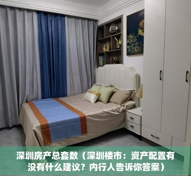 深圳房产总套数（深圳楼市：资产配置有没有什么建议？内行人告诉你答案）