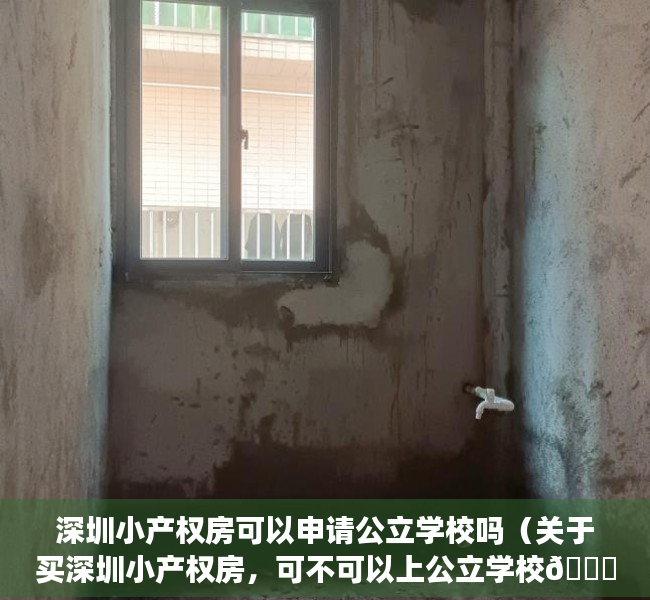 深圳小产权房可以申请公立学校吗（关于买深圳小产权房，可不可以上公立学校👇👇👇👇👇）