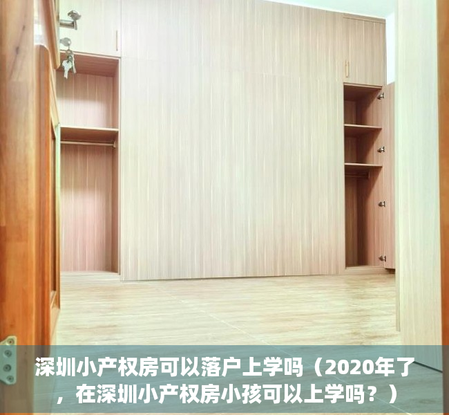 深圳小产权房可以落户上学吗（2020年了，在深圳小产权房小孩可以上学吗？）