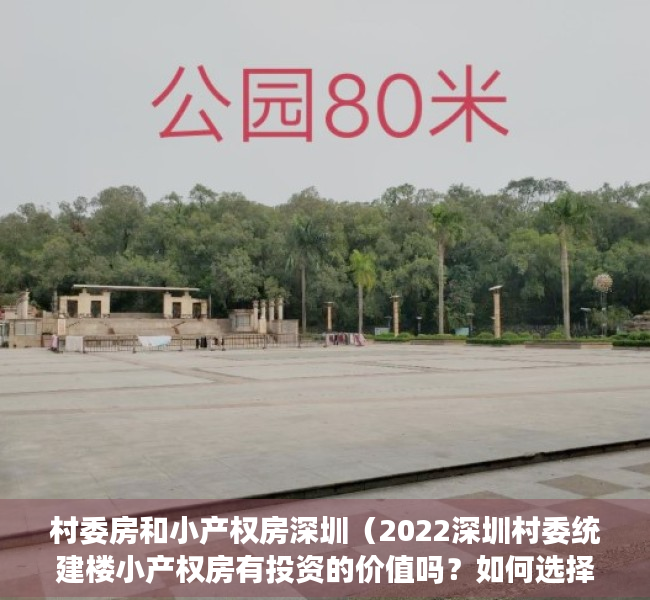 村委房和小产权房深圳（2022深圳村委统建楼小产权房有投资的价值吗？如何选择？）