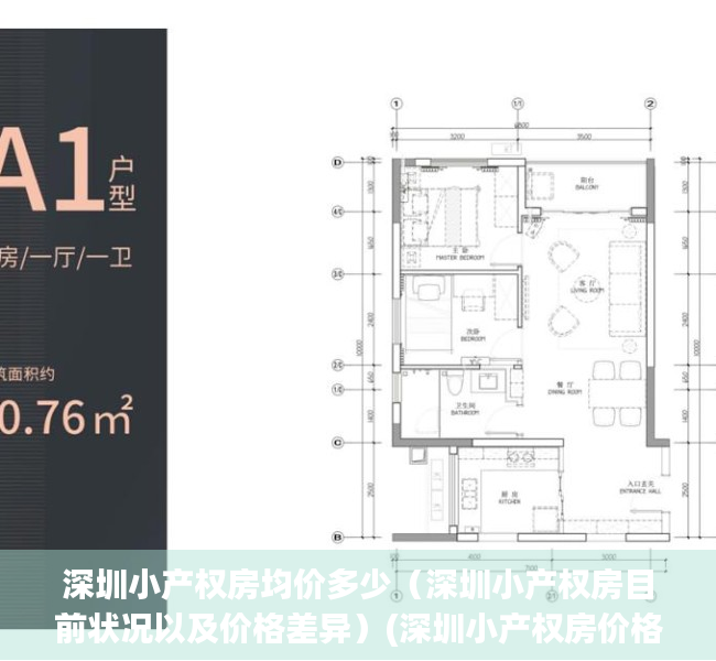 深圳小产权房均价多少（深圳小产权房目前状况以及价格差异）(深圳小产权房价格2021)