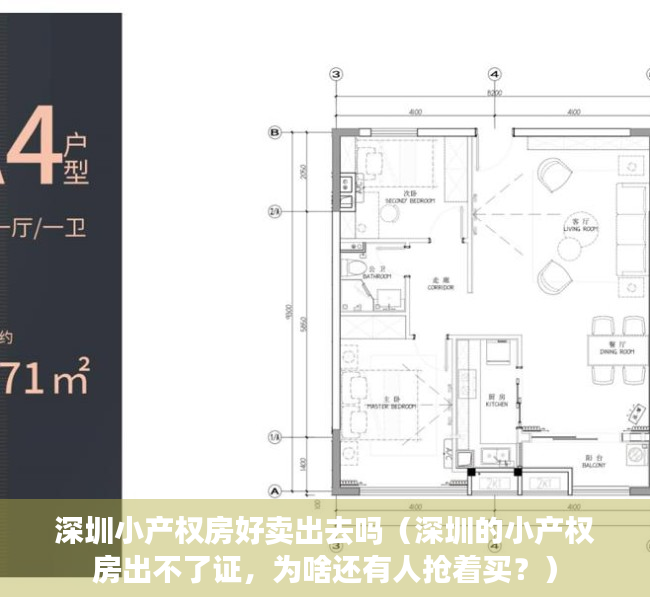 深圳小产权房好卖出去吗（深圳的小产权房出不了证，为啥还有人抢着买？）